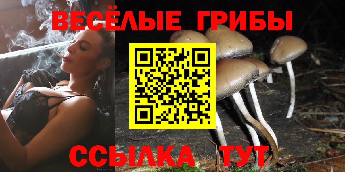 Ухта  Галлюциногенные грибы Magic Shrooms  Вход с VPN 