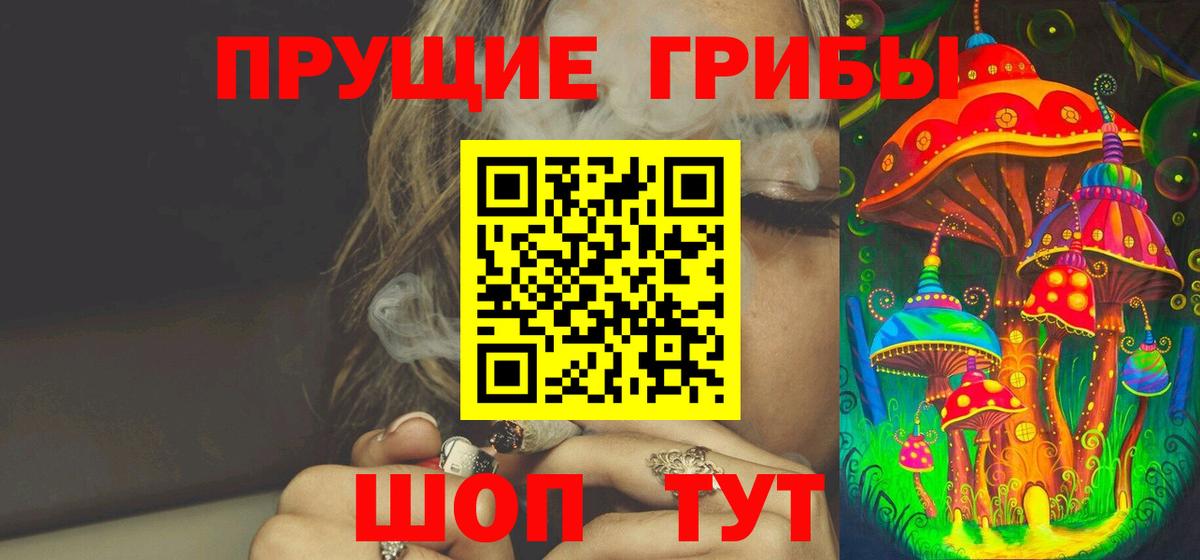 Псилоцибиновые грибы Psilocybine cubensis Ухта